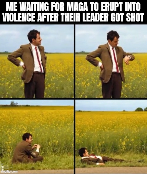 Not very Left of them | ME WAITING FOR MAGA TO ERUPT INTO VIOLENCE AFTER THEIR LEADER GOT SHOT | image tagged in maga,donald trump,mr bean waiting | made w/ Imgflip meme maker