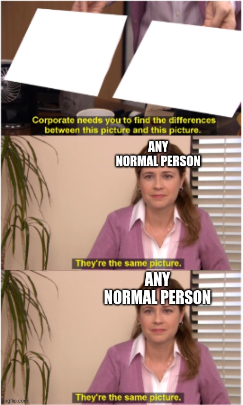 Makes sense right? | ANY NORMAL PERSON; ANY NORMAL PERSON | image tagged in there the same picture 2 | made w/ Imgflip meme maker