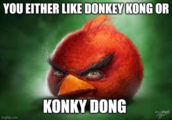 Realistic Red Angry Birds | YOU EITHER LIKE DONKEY KONG OR; KONKY DONG | image tagged in realistic red angry birds | made w/ Imgflip meme maker