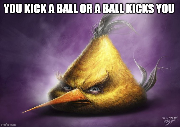 Realistic yellow angry bird | YOU KICK A BALL OR A BALL KICKS YOU | image tagged in realistic yellow angry bird | made w/ Imgflip meme maker