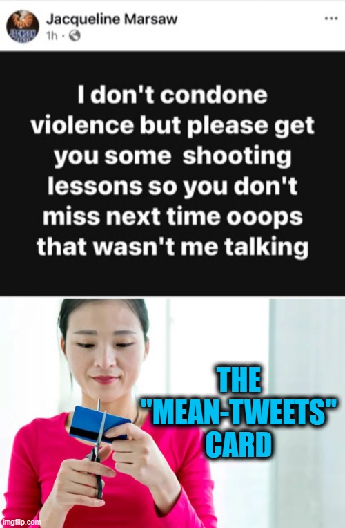 Card Games | THE "MEAN-TWEETS" CARD | image tagged in mean tweets,trump,violence | made w/ Imgflip meme maker