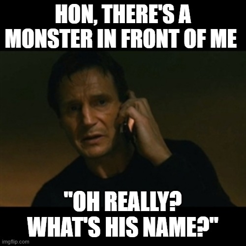 Like you would know that | HON, THERE'S A MONSTER IN FRONT OF ME; "OH REALLY? WHAT'S HIS NAME?" | image tagged in memes,liam neeson taken | made w/ Imgflip meme maker