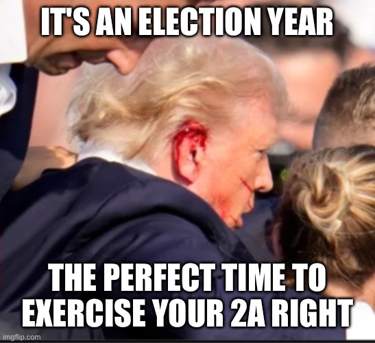 Just heard this on the radio, image unrelated. | IT'S AN ELECTION YEAR; THE PERFECT TIME TO EXERCISE YOUR 2A RIGHT | image tagged in bloody ear trump | made w/ Imgflip meme maker