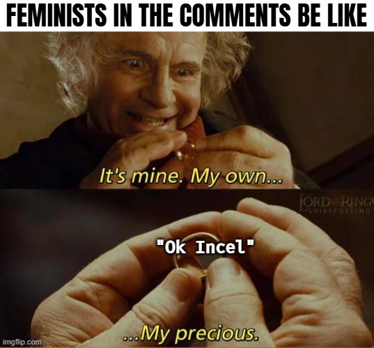 FEMINISTS IN THE COMMENTS BE LIKE; "Ok Incel" | image tagged in feminists,bilbo - why shouldn t i keep it,funny | made w/ Imgflip meme maker