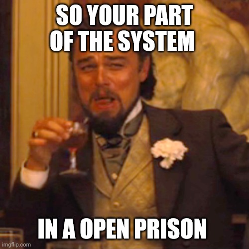 Laughing Leo | SO YOUR PART OF THE SYSTEM; IN A OPEN PRISON | image tagged in memes,laughing leo | made w/ Imgflip meme maker