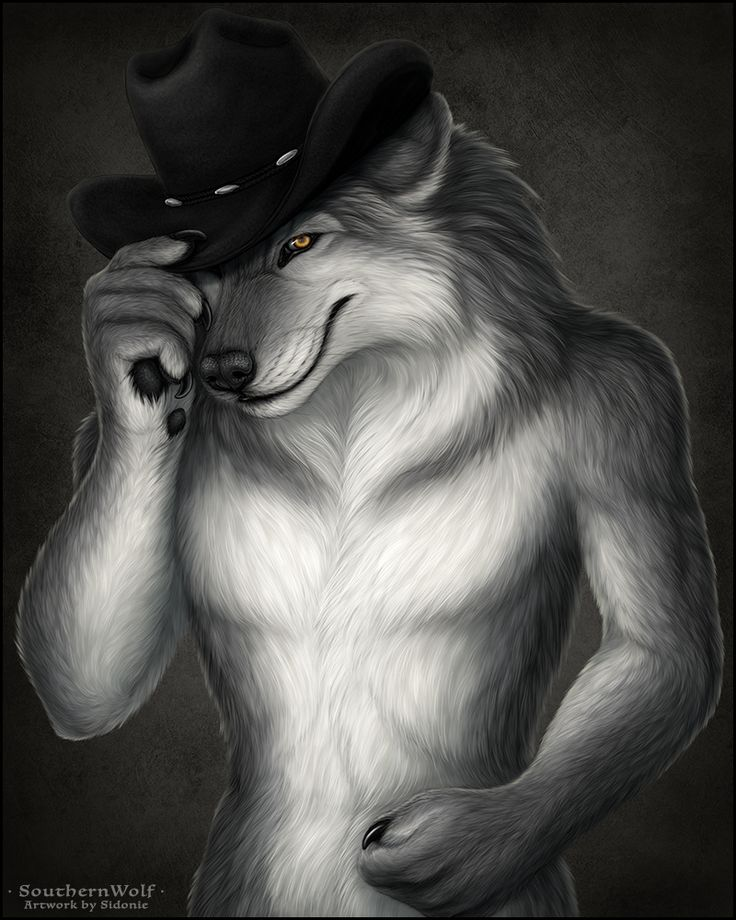 Wolf Hat Meme Blank Meme Template