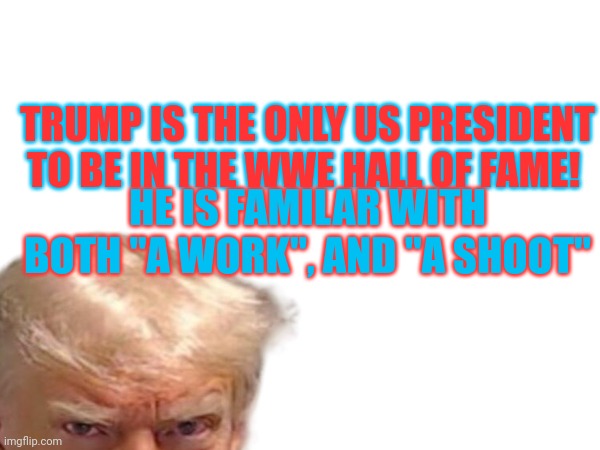 Too soon? | TRUMP IS THE ONLY US PRESIDENT TO BE IN THE WWE HALL OF FAME! HE IS FAMILAR WITH BOTH "A WORK", AND "A SHOOT" | made w/ Imgflip meme maker