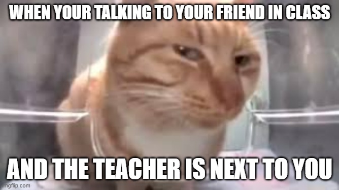 gotta do it stealthily | WHEN YOUR TALKING TO YOUR FRIEND IN CLASS; AND THE TEACHER IS NEXT TO YOU | image tagged in side eye cat,stealth,teacher | made w/ Imgflip meme maker