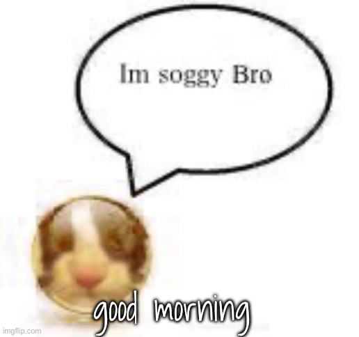 im soggy bro ball | good morning | image tagged in im soggy bro ball | made w/ Imgflip meme maker