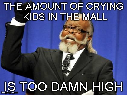 Mallbabies | THE AMOUNT OF CRYING KIDS IN THE MALL IS TOO DAMN HIGH | image tagged in memes,too damn high | made w/ Imgflip meme maker