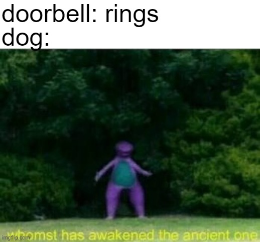 ? | doorbell: rings; dog: | image tagged in memes | made w/ Imgflip meme maker