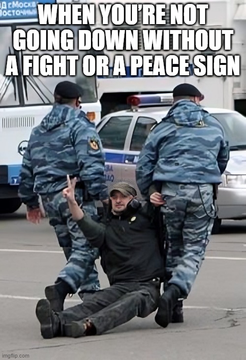 these type of people | WHEN YOU’RE NOT GOING DOWN WITHOUT A FIGHT OR A PEACE SIGN | image tagged in memes | made w/ Imgflip meme maker