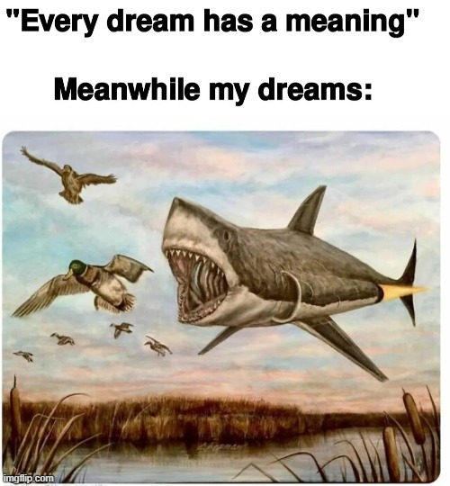 A good dream tbh | image tagged in memes,funny,so true,relatable memes,dreams | made w/ Imgflip meme maker