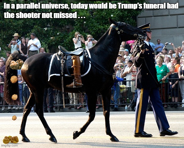 Do parallel universes really exist? | In a parallel universe, today would be Trump's funeral had; the shooter not missed . . . | image tagged in donald trump,parallel universe,funeral | made w/ Imgflip meme maker