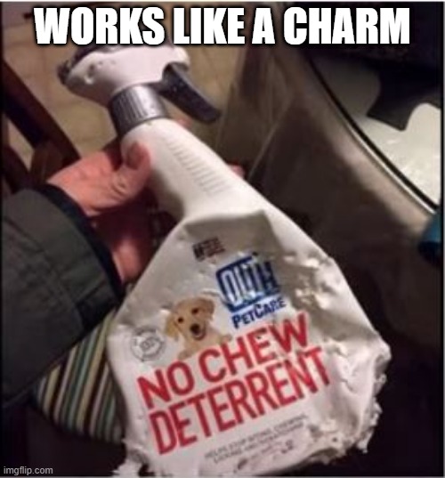 No Chew | WORKS LIKE A CHARM | image tagged in you had one job | made w/ Imgflip meme maker