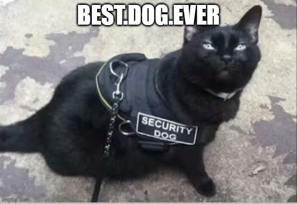 Security Dog | BEST.DOG.EVER | image tagged in you had one job | made w/ Imgflip meme maker