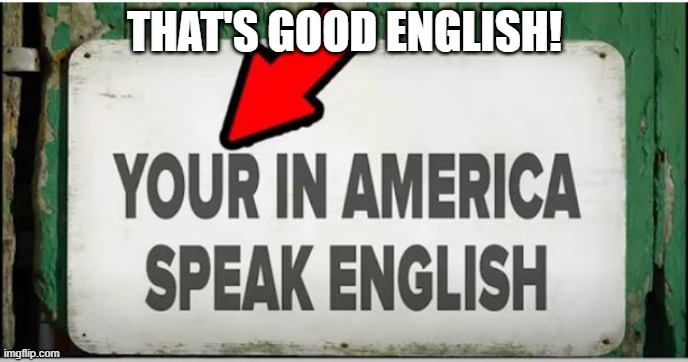 You're! | THAT'S GOOD ENGLISH! | image tagged in you had one job | made w/ Imgflip meme maker