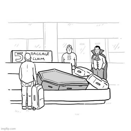 Baggage | image tagged in comics | made w/ Imgflip meme maker