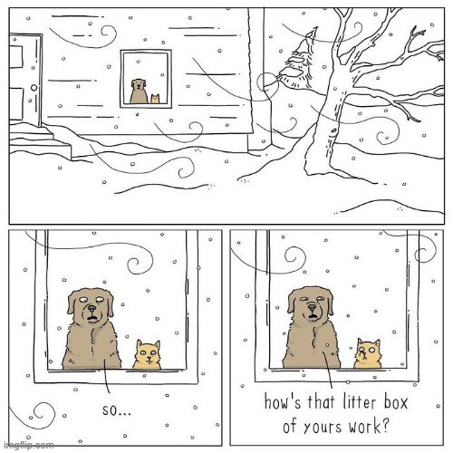 Litter Box | image tagged in comics | made w/ Imgflip meme maker