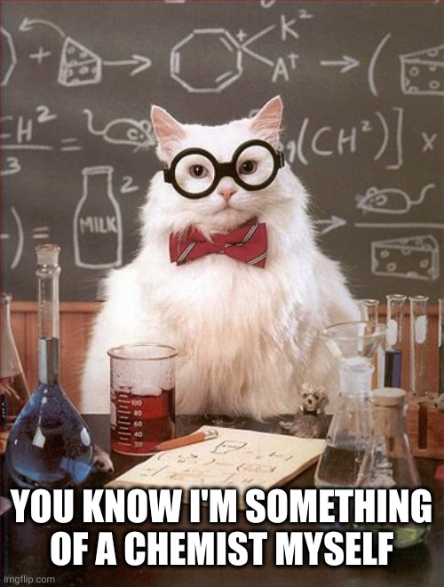 Professor Cat | YOU KNOW I'M SOMETHING OF A CHEMIST MYSELF | image tagged in professor cat | made w/ Imgflip meme maker