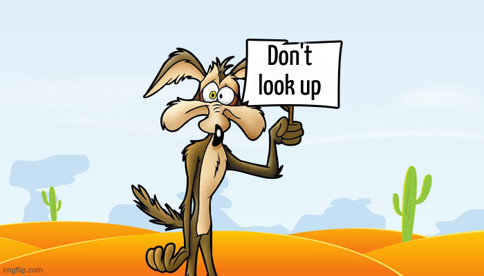 Wile E. Coyote Sign | Don't look up | image tagged in wile e coyote sign | made w/ Imgflip meme maker