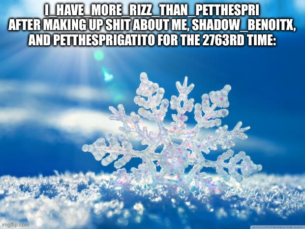 He really is stupid | I_HAVE_MORE_RIZZ_THAN_PETTHESPRI AFTER MAKING UP SHIT ABOUT ME, SHADOW_BENOITX, AND PETTHESPRIGATITO FOR THE 2763RD TIME: | image tagged in snowflake | made w/ Imgflip meme maker