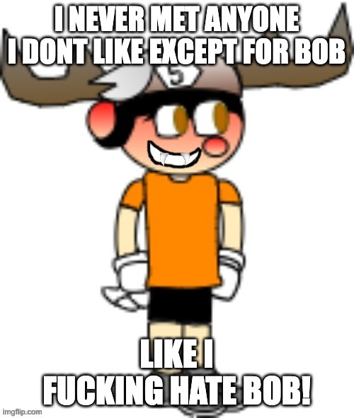 I NEVER MET ANYONE I DONT LIKE EXCEPT FOR BOB LIKE I FUCKING HATE BOB! | image tagged in smg5 smile credit goes to sth4 | made w/ Imgflip meme maker