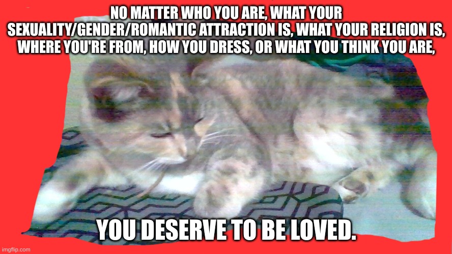 You need to be loved | NO MATTER WHO YOU ARE, WHAT YOUR SEXUALITY/GENDER/ROMANTIC ATTRACTION IS, WHAT YOUR RELIGION IS, WHERE YOU'RE FROM, HOW YOU DRESS, OR WHAT YOU THINK YOU ARE, YOU DESERVE TO BE LOVED. | image tagged in religious rights,black lives matter,lgbtq rights,furry rights,therian rights | made w/ Imgflip meme maker