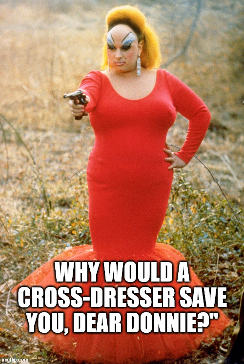 Divine - Pink Flamingos | WHY WOULD A CROSS-DRESSER SAVE YOU, DEAR DONNIE?" | image tagged in divine - pink flamingos | made w/ Imgflip meme maker