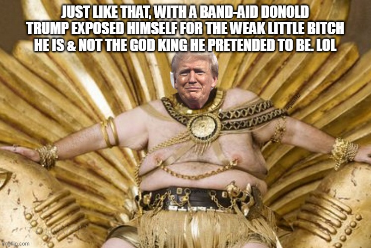 Xeros | JUST LIKE THAT, WITH A BAND-AID DONOLD TRUMP EXPOSED HIMSELF FOR THE WEAK LITTLE BITCH HE IS & NOT THE GOD KING HE PRETENDED TO BE. LOL | image tagged in idiot,maga cult,300,donald trump is an idiot,band-aid,maga morons | made w/ Imgflip meme maker