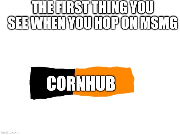 Msmg is cool and weird | THE FIRST THING YOU SEE WHEN YOU HOP ON MSMG; CORNHUB | image tagged in msmg | made w/ Imgflip meme maker