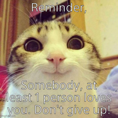 Reminder | Reminder, Somebody, at least 1 person loves you. Don't give up! | image tagged in memes,smiling cat,happy | made w/ Imgflip meme maker