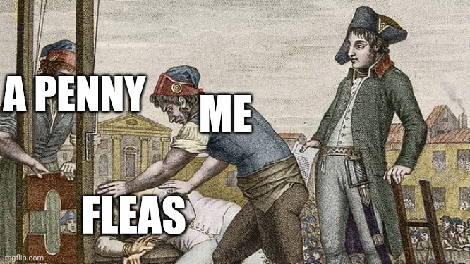ㅤ | A PENNY; ME; FLEAS | image tagged in guillotine this | made w/ Imgflip meme maker