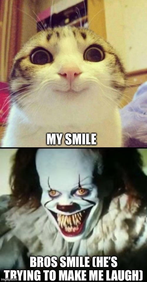 My smile vs bros smile | MY SMILE; BROS SMILE (HE’S TRYING TO MAKE ME LAUGH) | image tagged in memes,smiling cat,pennywise toothy grin,pennywise,evil smile,why are you reading the tags | made w/ Imgflip meme maker