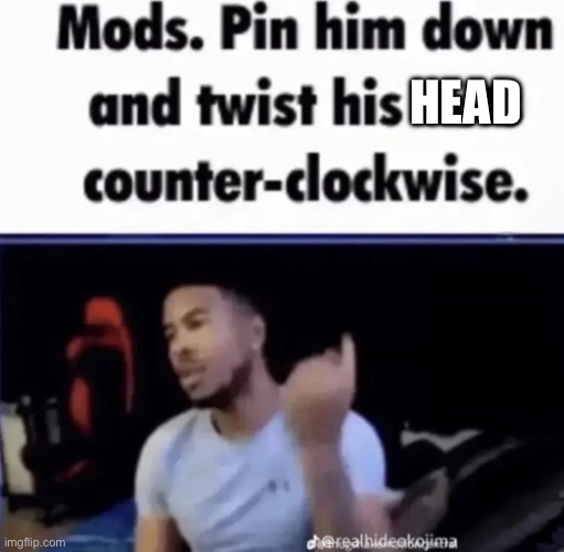 Mods. Pin him down and twist his nuts counter-clockwise. | HEAD | image tagged in mods pin him down and twist his nuts counter-clockwise | made w/ Imgflip meme maker