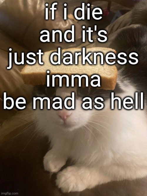 bread cat | if i die and it's just darkness imma be mad as hell | image tagged in bread cat | made w/ Imgflip meme maker