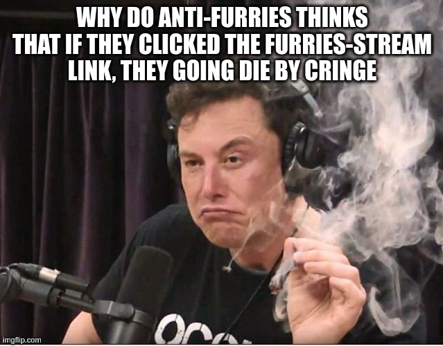 i don't get it | WHY DO ANTI-FURRIES THINKS THAT IF THEY CLICKED THE FURRIES-STREAM LINK, THEY GOING DIE BY CRINGE | image tagged in elon musk smoking a joint | made w/ Imgflip meme maker