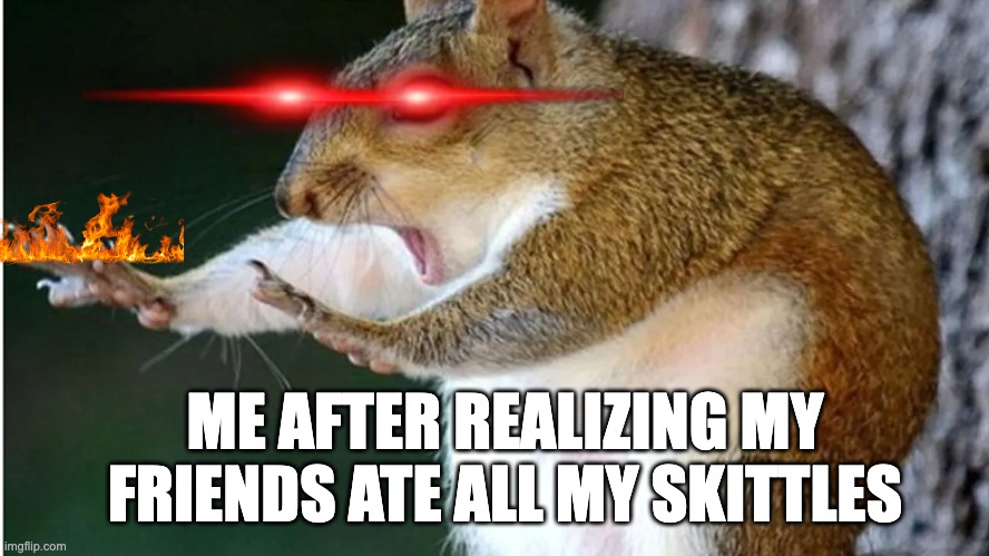 ME AFTER REALIZING MY FRIENDS ATE ALL MY SKITTLES | image tagged in fun | made w/ Imgflip meme maker