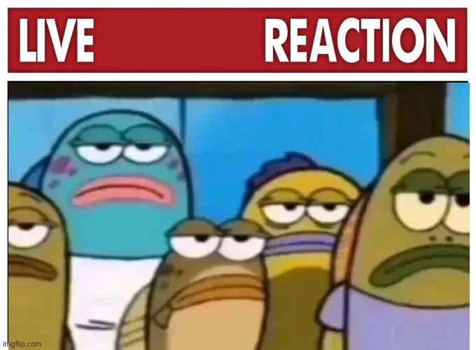 Live reaction | image tagged in live reaction | made w/ Imgflip meme maker