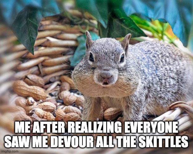 ME AFTER REALIZING EVERYONE SAW ME DEVOUR ALL THE SKITTLES | image tagged in funny | made w/ Imgflip meme maker