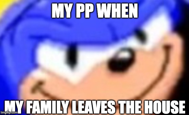 Sonic smile | MY PP WHEN; MY FAMILY LEAVES THE HOUSE | image tagged in sonic smile | made w/ Imgflip meme maker