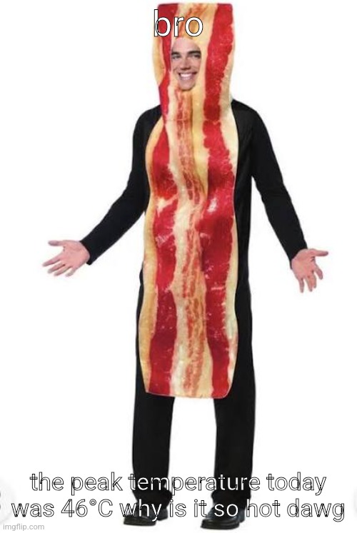 am bacon | bro; the peak temperature today was 46°C why is it so hot dawg | image tagged in bacon suit | made w/ Imgflip meme maker