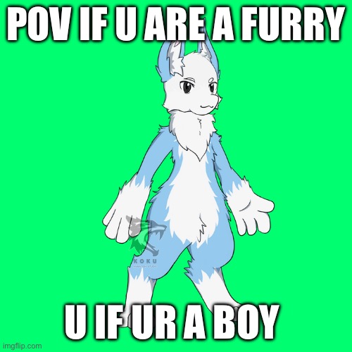 If ur a furry part two | POV IF U ARE A FURRY; U IF UR A BOY | image tagged in furry | made w/ Imgflip meme maker