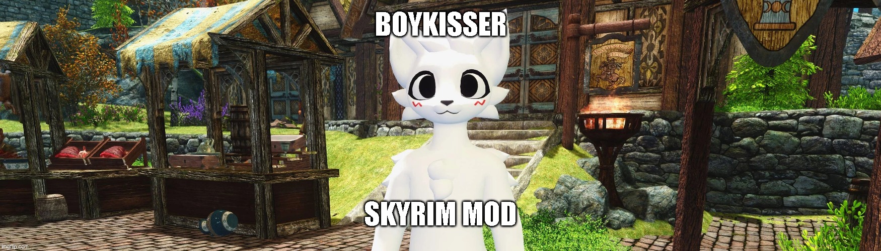 BOYKISSER; SKYRIM MOD | made w/ Imgflip meme maker