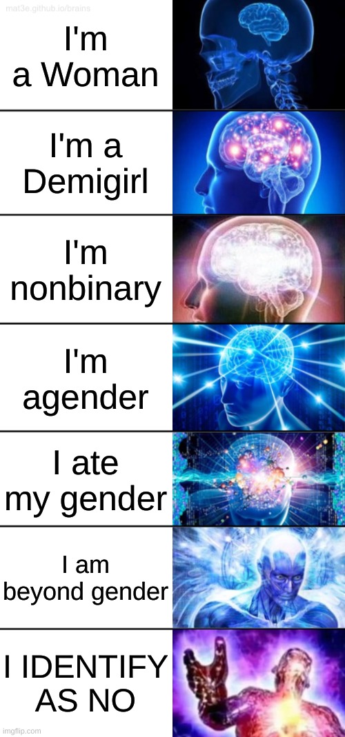 I IDENTIFY AS NO | I'm a Woman; I'm a Demigirl; I'm nonbinary; I'm agender; I ate my gender; I am beyond gender; I IDENTIFY AS NO | image tagged in 7-tier expanding brain | made w/ Imgflip meme maker