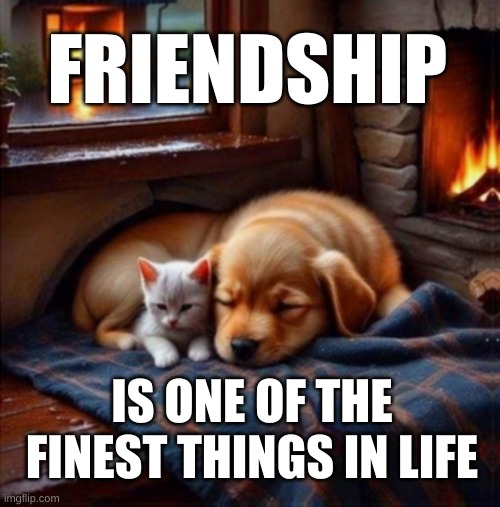Love gives Hope | FRIENDSHIP; IS ONE OF THE FINEST THINGS IN LIFE | image tagged in love,friendship,hope,dog,kitten,life | made w/ Imgflip meme maker