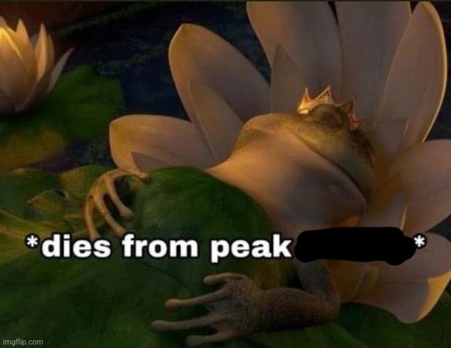 Dies of Peak Fiction | image tagged in dies of peak fiction | made w/ Imgflip meme maker