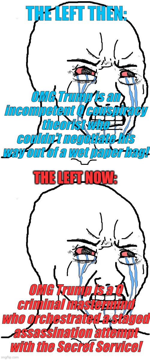 Lefty Logic | THE LEFT THEN:; OMG Trump is an incompetent Q conspiracy theorist who couldn't negotiate his way out of a wet paper bag! THE LEFT NOW:; OMG Trump is a Q criminal mastermind who orchestrated a staged assassination attempt with the Secret Service! | image tagged in crying liberal,trump | made w/ Imgflip meme maker