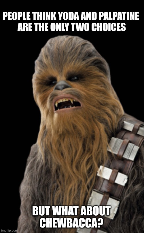 Chewbacca for President | PEOPLE THINK YODA AND PALPATINE 
ARE THE ONLY TWO CHOICES; BUT WHAT ABOUT
CHEWBACCA? | image tagged in chewbacca,star wars,president,biden,trump,kennedy | made w/ Imgflip meme maker