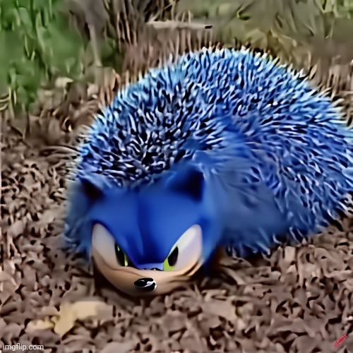 ai generated "realistic" sonic | image tagged in craiyon | made w/ Imgflip meme maker